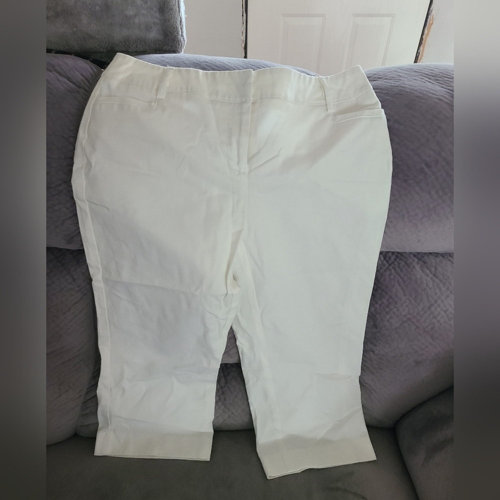 Ladies Dress Shorts